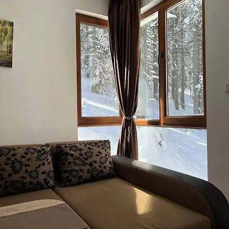 Forest Place Пампорово